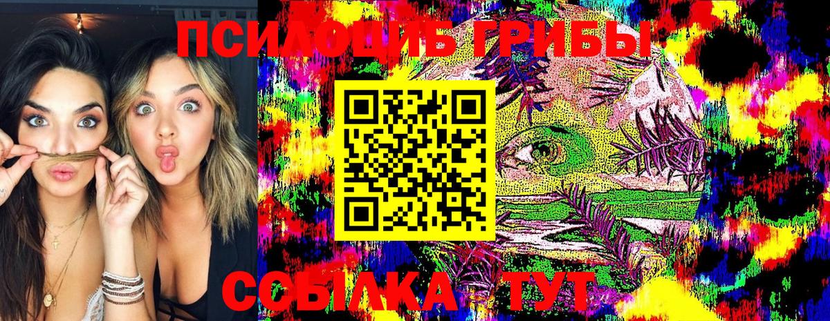Псилоцибиновые грибы Cubensis  Вход с VPN  Набережные Челны  Галлюциногенные грибы MAGIC MUSHROOMS 